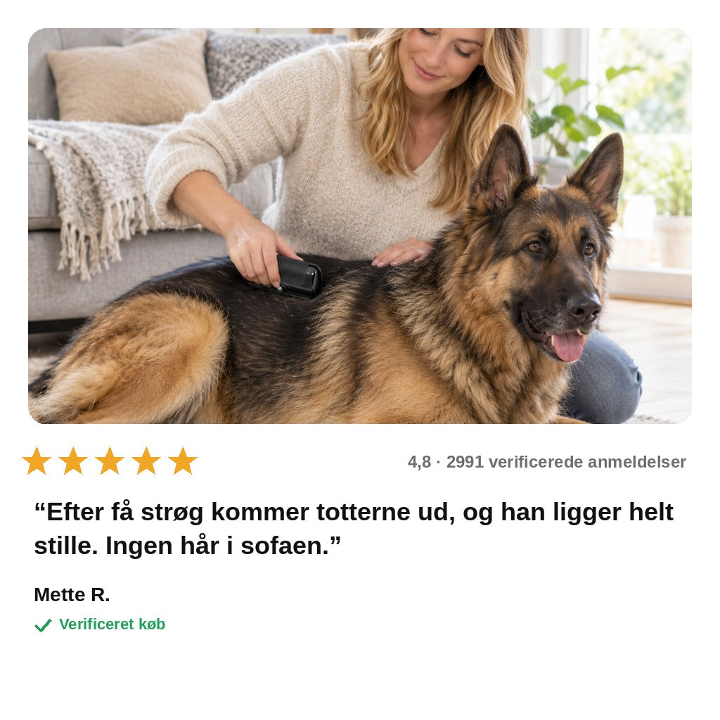 avis — Hundebørste til underuld – fjerner løs pels uden at hive
