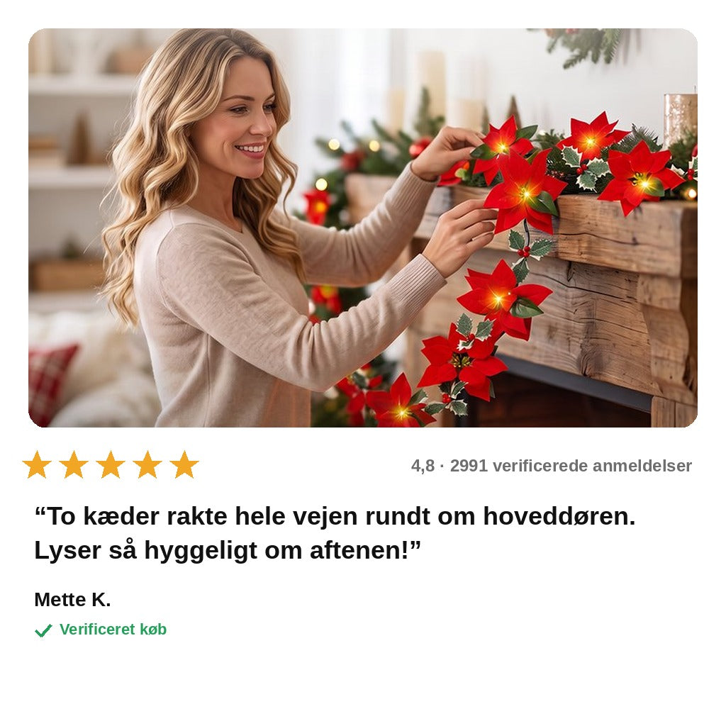 avis — Julestjerne LED-lyskæde – 2 m med røde julestjerner og kristtorn