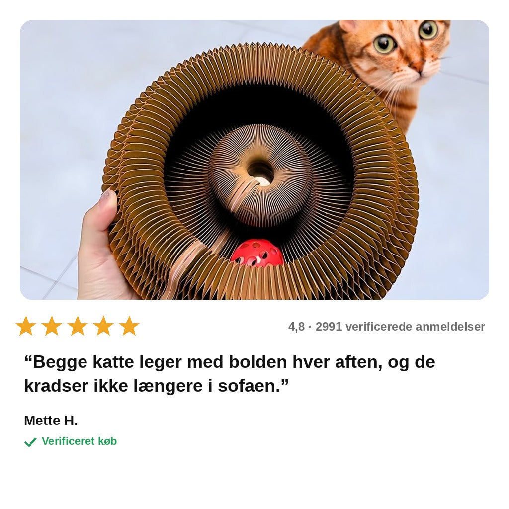 avis — SpiralKat™ – Kradsebræt i pap med boldbane