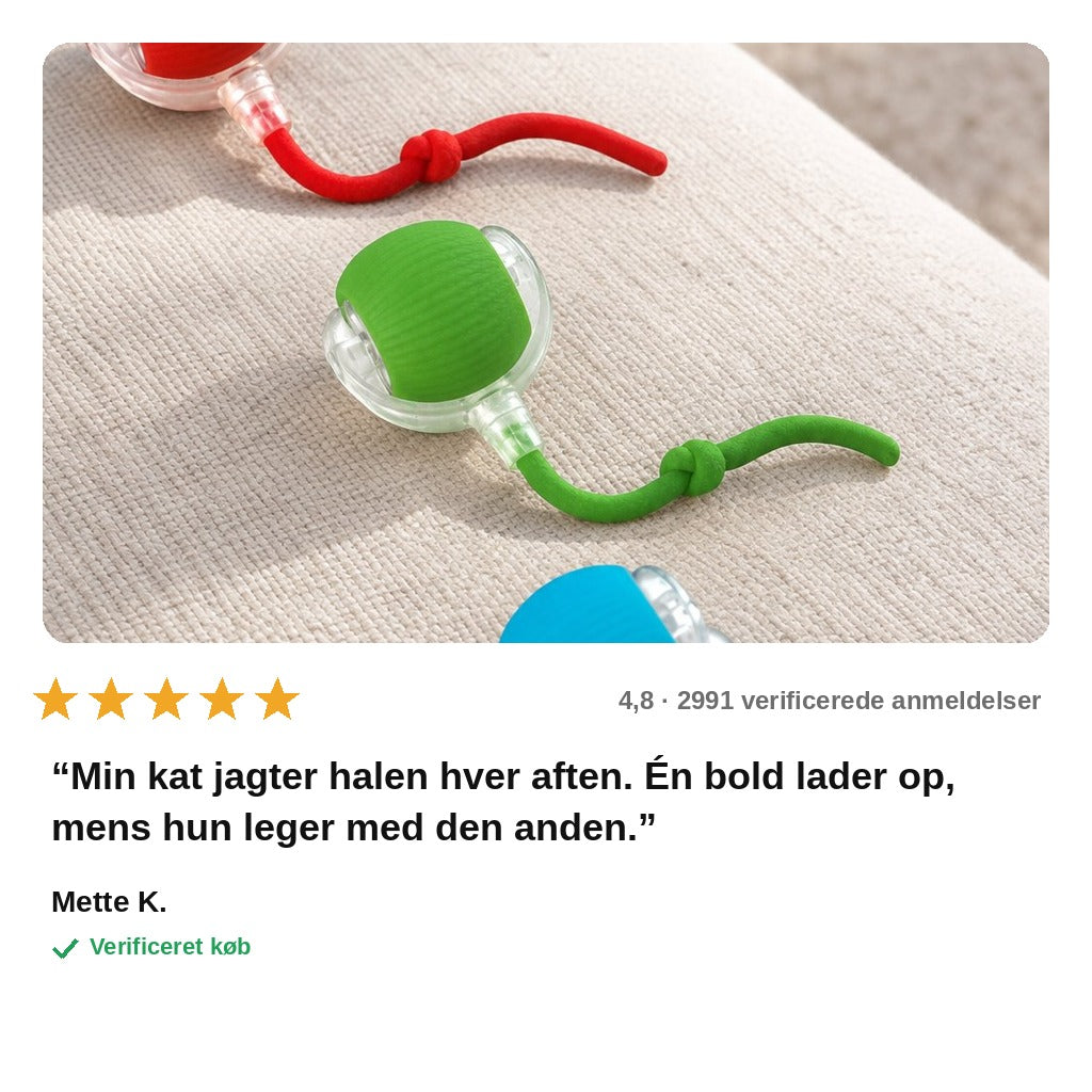 avis — Automatisk kattebold med hale – ruller og skifter selv retning