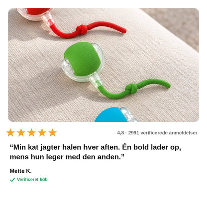 avis — Automatisk kattebold med hale – ruller og skifter selv retning