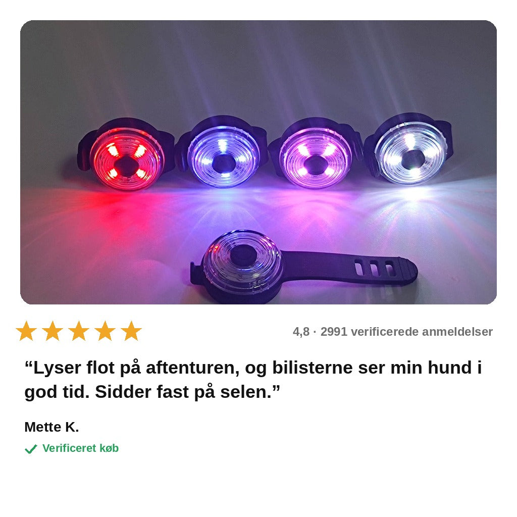 avis — LED lygte til hund – 4 lysfarver, fast lys eller blink, synlig op til 50 meter