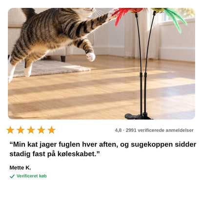 avis — Kattelegetøj fugl med sugekop – interaktiv jagtbue til indekatte