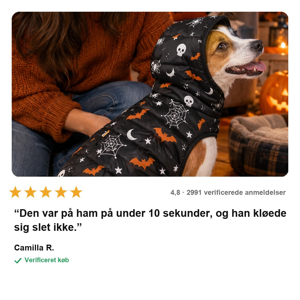 HalloWoof™ Hundehættetrøje – Halloween-kostume til Hund
