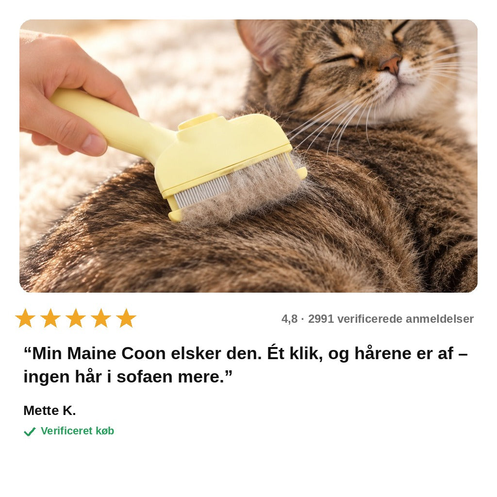 avis — Selvrensende pelsbørste til kæledyr