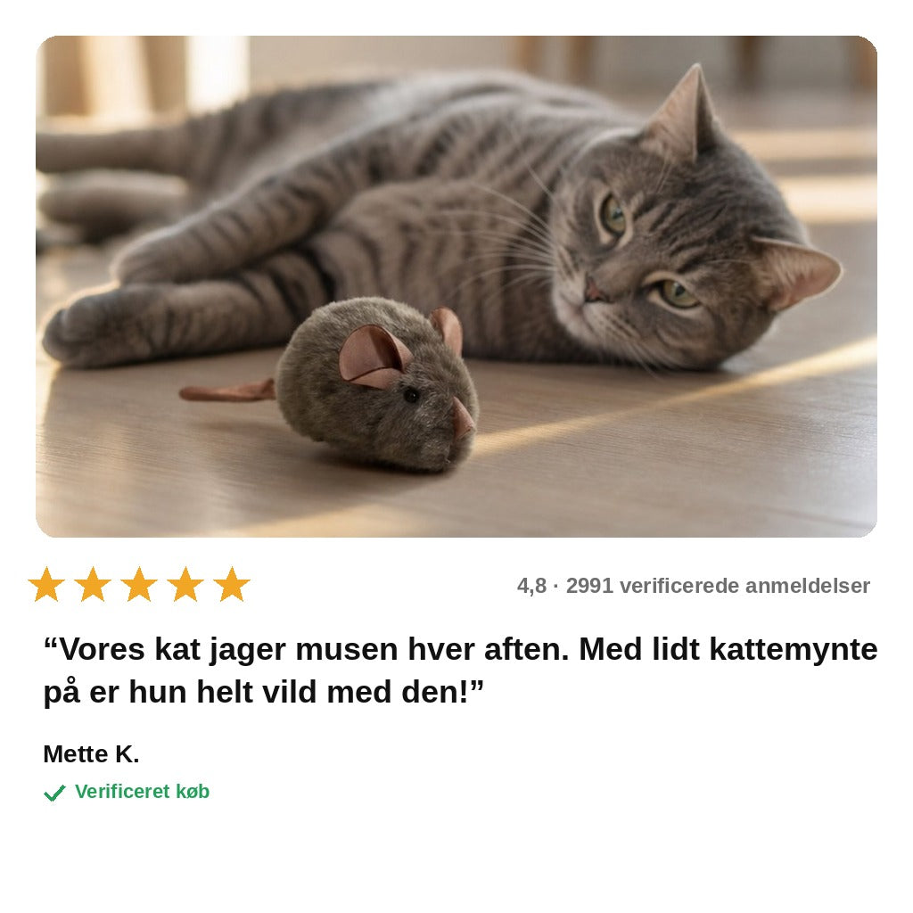 avis — Jagtmus™ – Blød plysmus til katte med kattemynte