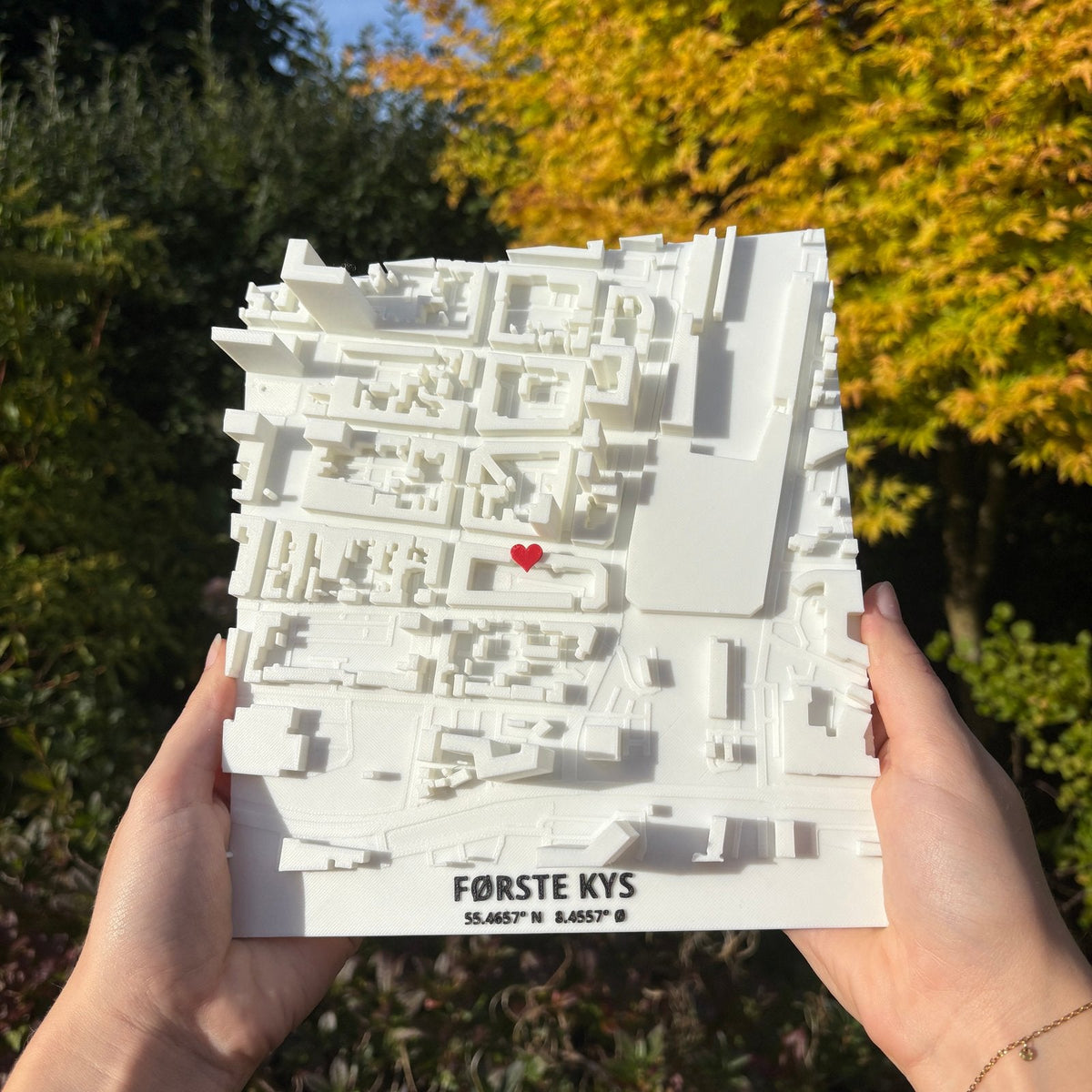 packshot — 3D-bykort i ramme – dit eget kvarter