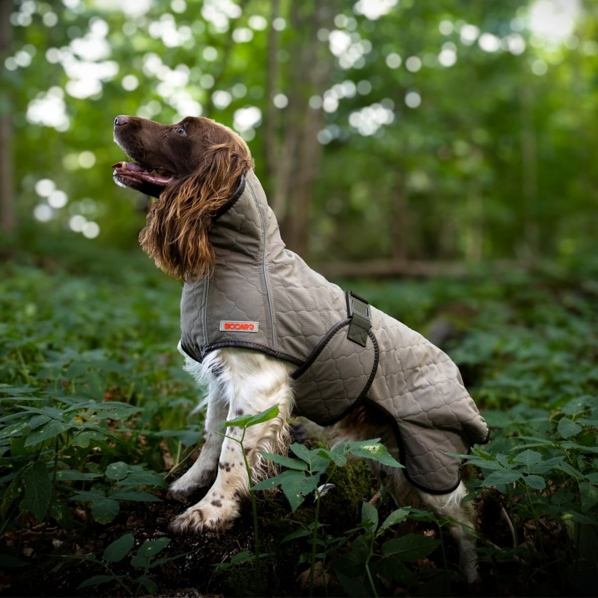 situation — TørPels™ – Tørredækken til hunde, opsugende indeni og vandafvisende udenpå