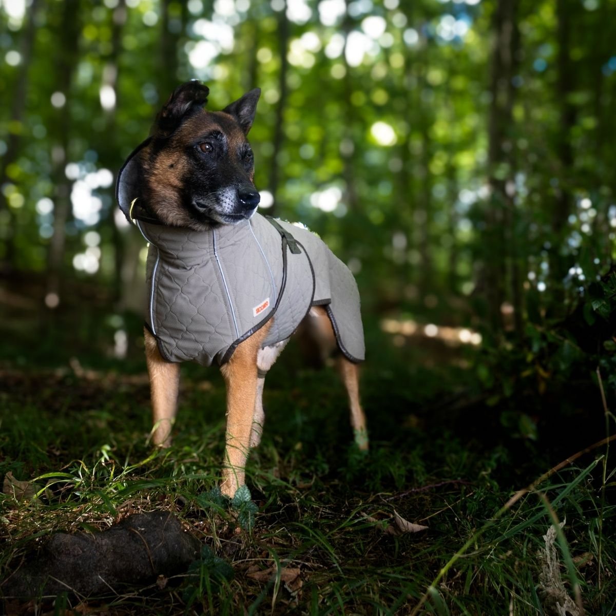 situation — TørPels™ – Tørredækken til hunde, opsugende indeni og vandafvisende udenpå