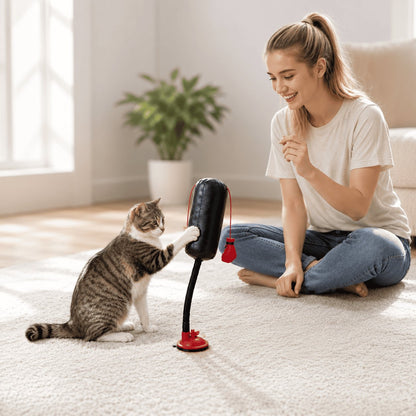 situation — BokseKat™ – Boksesæk til kat med sugekop