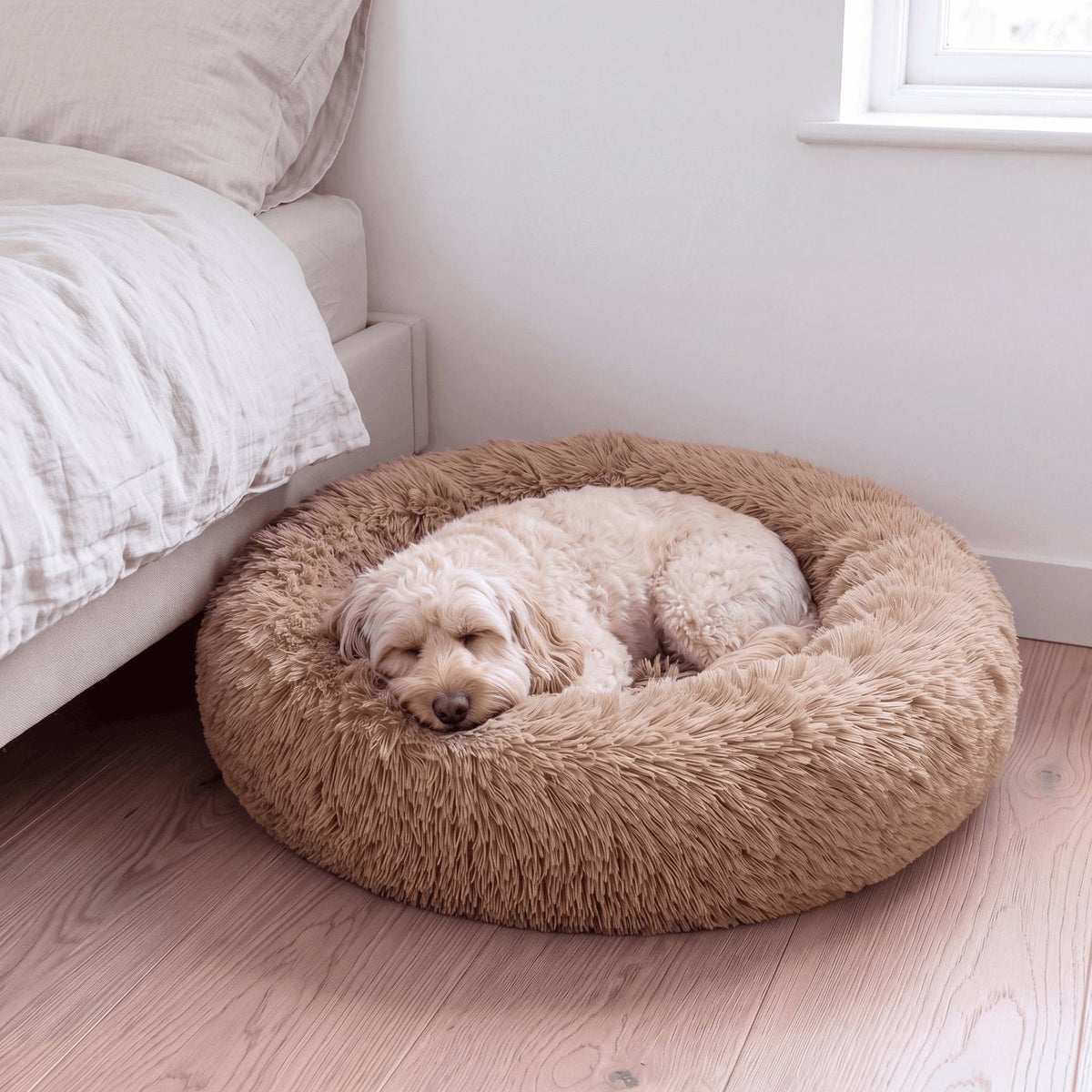 situation — Beroligende donut hundeseng – langhåret