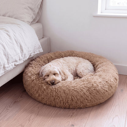 situation — Beroligende donut hundeseng – langhåret
