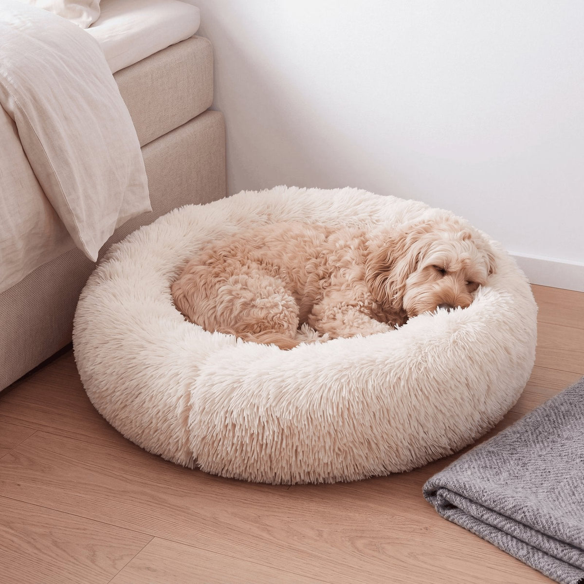 couleur Cremehvid — Beroligende donut hundeseng – langhåret