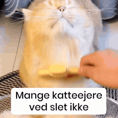 selvrensende-pelsb-rste-til-k-ledyr-2571-gifsec