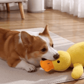 kvakven-anti-stress-krammeand-til-hunde-2187-gifsec