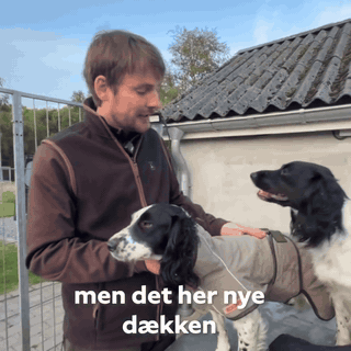 t-rpels-t-rred-kken-til-hunde-opsugende-indeni-og-816-gifsec