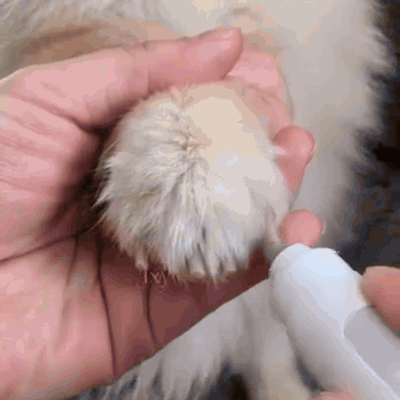 elektrisk-kloslibber-til-hund-og-kat-med-led-displ-2569-gifsec