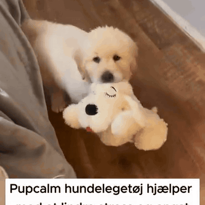 hvalpebamse-med-hjerteslag-ro-og-tryghed-fra-den-f-1375-gifsec