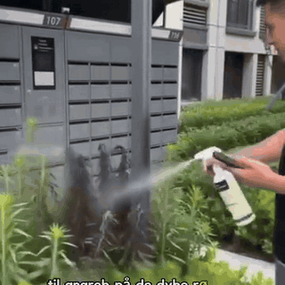 ukrudtsspray-til-fliser-gangstier-og-indk-rsel-kla-2834-gifsec