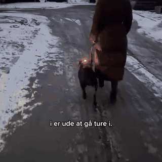gif — LED lygte til hund – 4 lysfarver, fast lys eller blink, synlig op til 50 meter