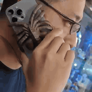 gif — Facehugger mobilholder – telefonholder med 8 bøjelige ben