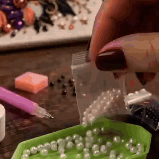 gif — DiamantBloom™ – Diamantmaleri Sæt med Kranieblomst Motiv