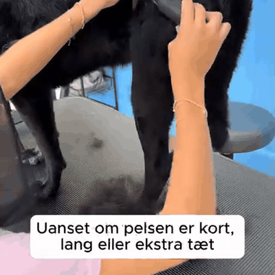 gif — Hundebørste til underuld – fjerner løs pels uden at hive