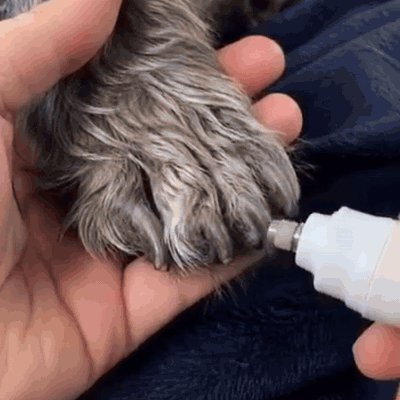 gif — Elektrisk kloslibber til hund og kat med LED-display