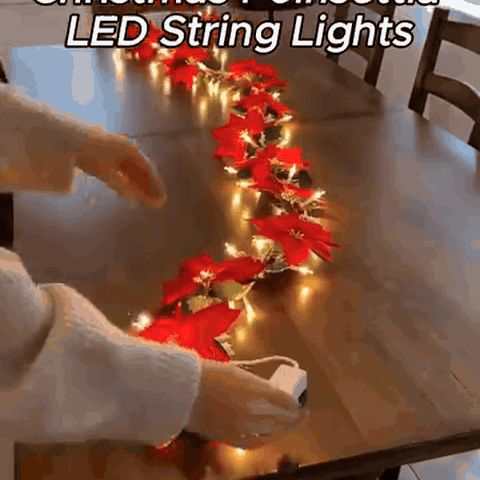 julestjerne-led-lysk-de-2-m-med-r-de-julestjerner-2631-gifsec