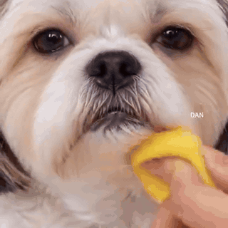 gif — KlarBlik™ Creme mod tårepletter til hunde og katte – 50 ml