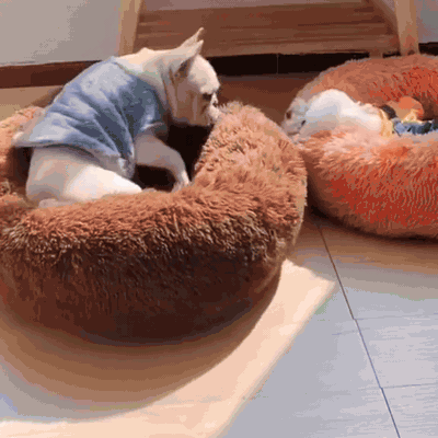 gif — HyggeRede™ – Blød donut-hundeseng med høj kant og lang, luftig pels