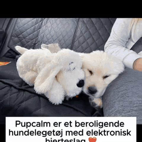 gif — Hvalpebamse med hjerteslag – ro og tryghed fra den første nat