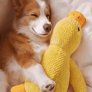 gif — KvakVen™ – Anti-stress krammeand til hunde