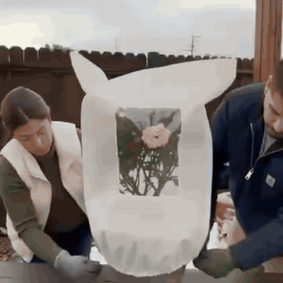 gif — Frostbeskyttelse til planter – plantehætte i 80 g fiberdug med lynlås og snøre