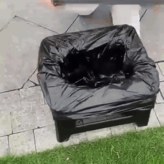 gif — Bærbart Sammenklappeligt Rejsetoilet – Kraftigt PP-stel med låg, kun 6,3 cm sammenfoldet
