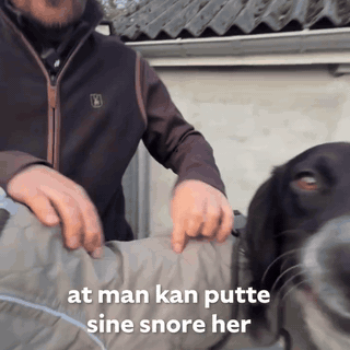 gif — TørPels™ – Tørredækken til hunde, opsugende indeni og vandafvisende udenpå