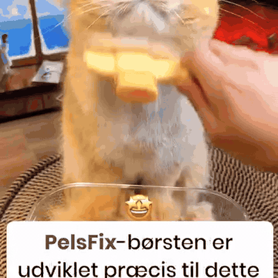 gif — Selvrensende pelsbørste til kæledyr