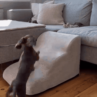 gif — PoteTrin™ – Hundetrappe i fast skum med aftageligt fløjlsbetræk