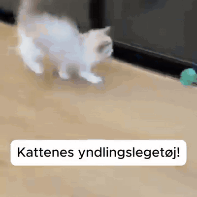 gif — Automatisk kattebold med hale – ruller og skifter selv retning