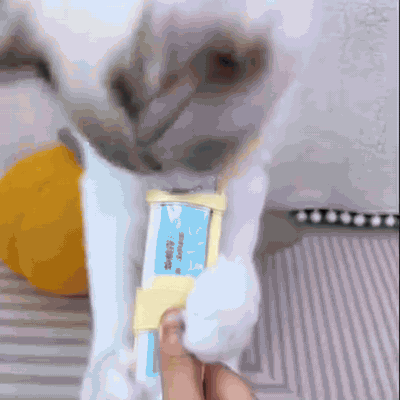 gif — Godbidsske til katte – 3 stk.