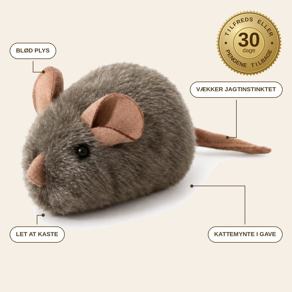 infographie — Jagtmus™ – Blød plysmus til katte med kattemynte