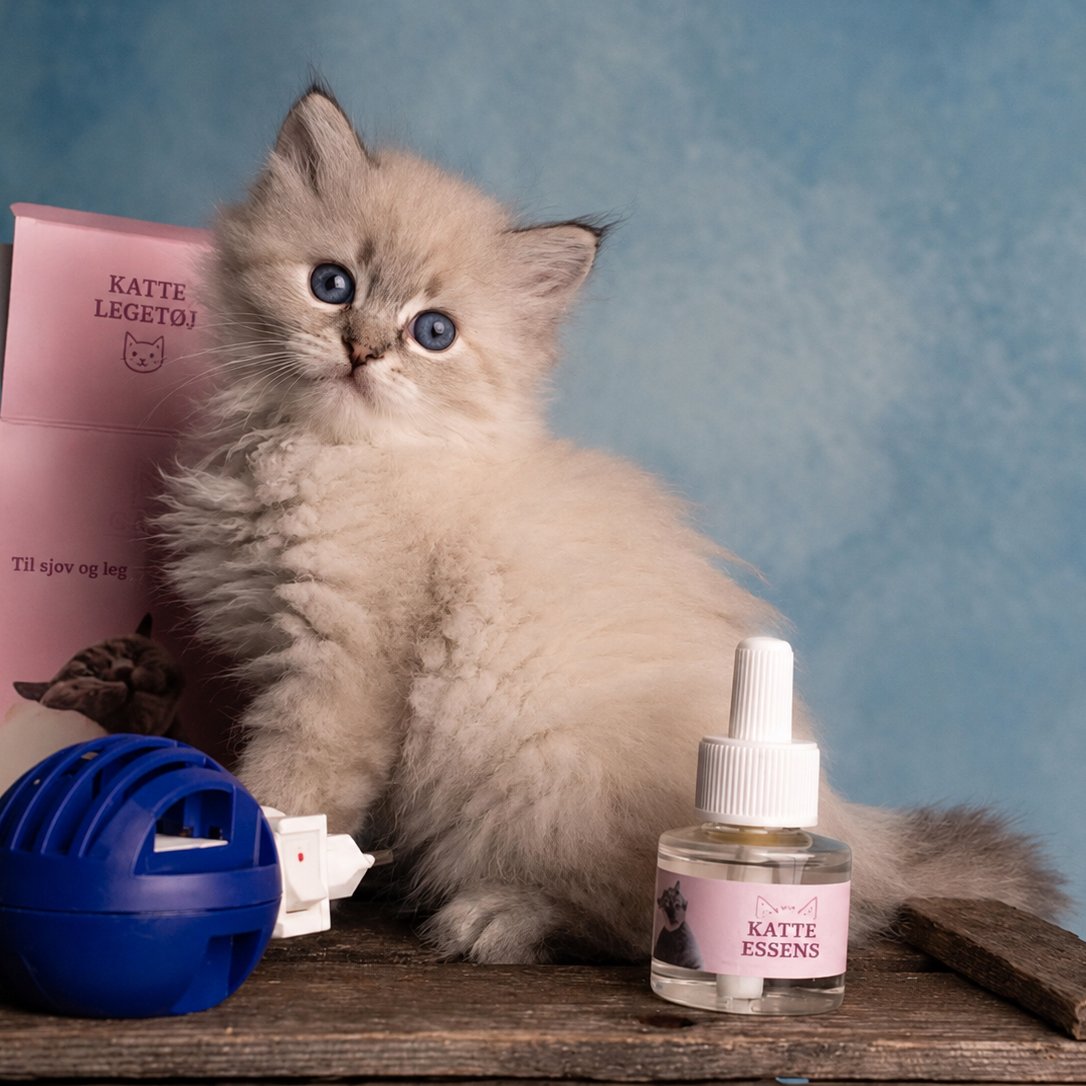 situation — Beroligende feromondiffuser til kat – inkl. refill 48 ml