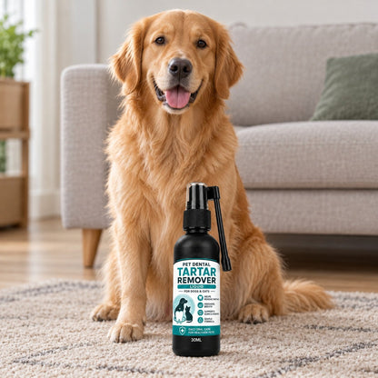 situation — Tandstensspray til hunde og katte – frisk ånde uden tandbørste-kamp
