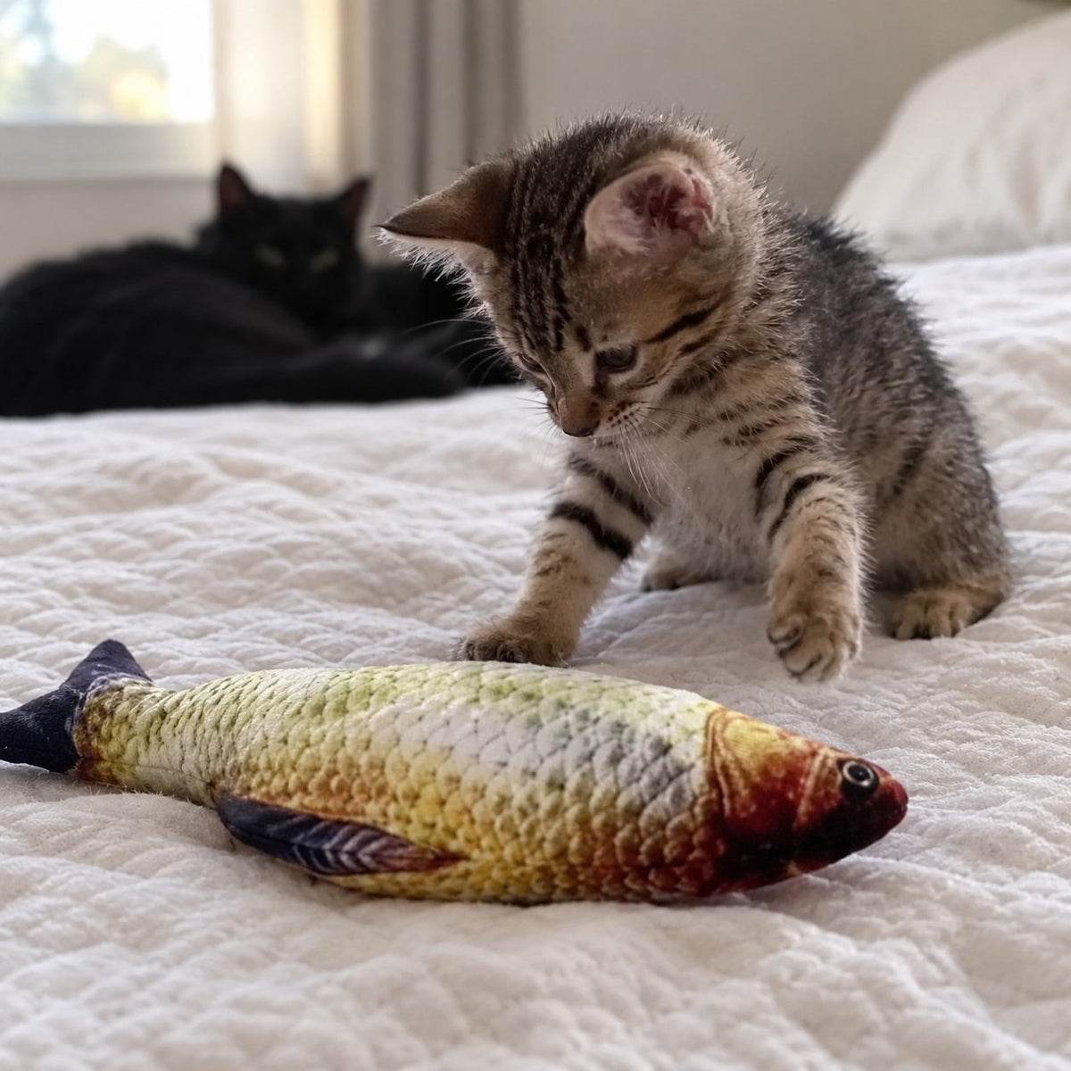 situation — Sprællende fisk til katte – genopladeligt kattelegetøj