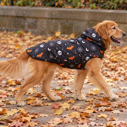 situation — HalloWoof™ Hundehættetrøje – Halloween-kostume til Hund