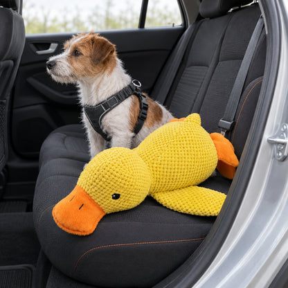 situation — KvakVen™ – Anti-stress krammeand til hunde