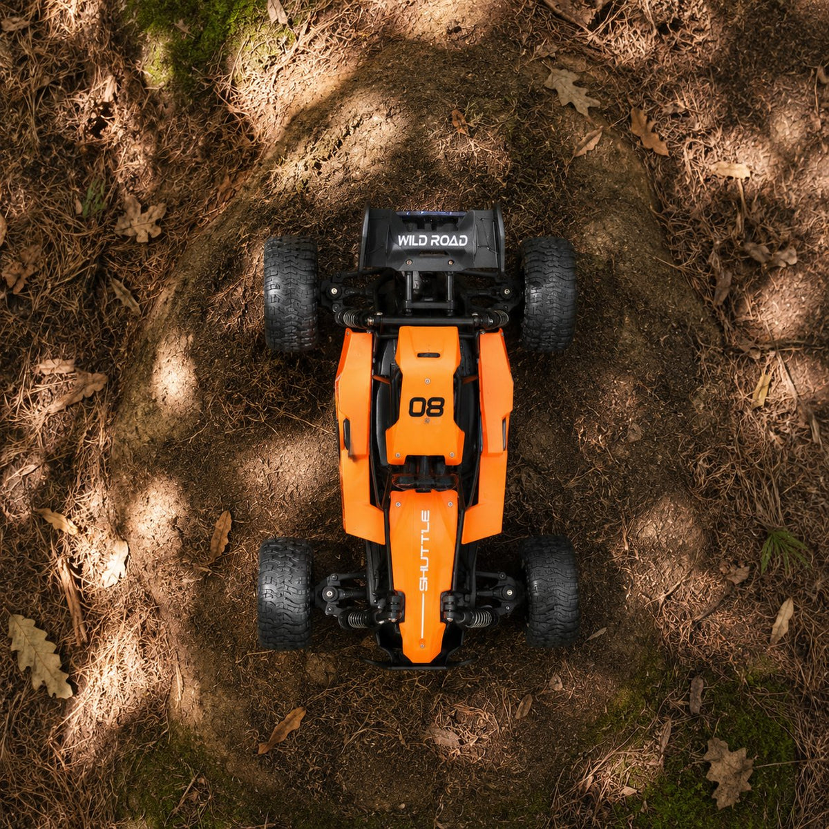 situation — Fjernstyret offroad buggy 1:16 – 2,4 GHz