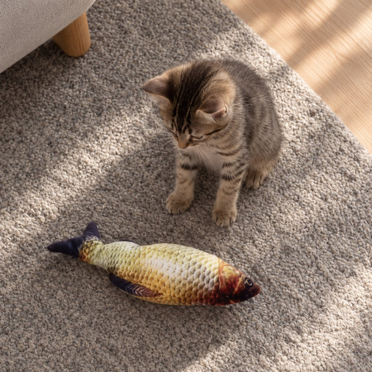 situation — Sprællende fisk til katte – genopladeligt kattelegetøj