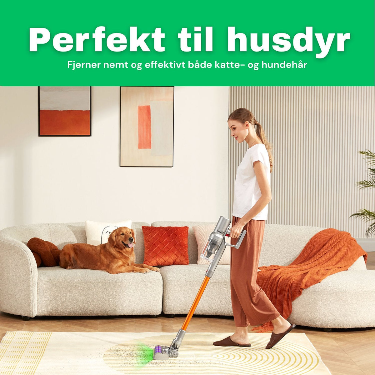 Aspirateur balai — parfait pour les poils d’animaux