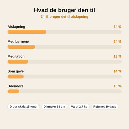 stats — Ståltungetromme – 15 toner i D-dur, klar til at spille fra første dag